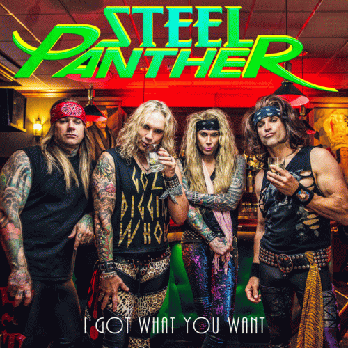 Steel Panther : I Got What You Want